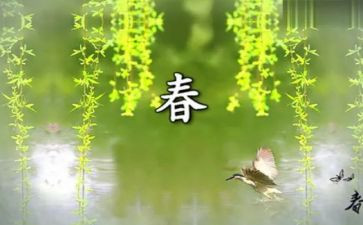 教师代表春季开学发言稿范文5篇