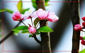 写春节的作文优质5篇