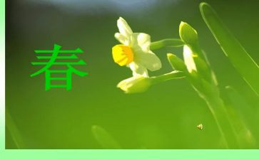 2024年春季开学安全教育讲话稿5篇