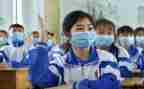 初中生物教师个人教学工作总结5篇