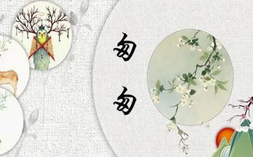 匆匆的阅读心得8篇