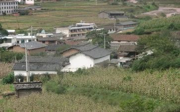 农村小学校长述职报告范文6篇