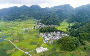 村医生个人述职报告范文最新6篇