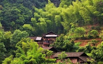 农村社区调研报告范文8篇