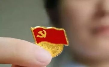 党联代表工作计划推荐5篇