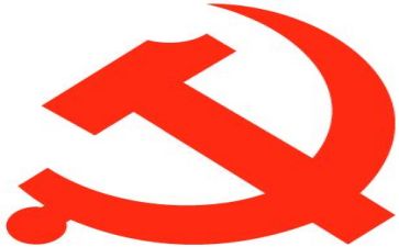 向党报告工作总结8篇