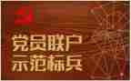 党支半年工作计划精选6篇