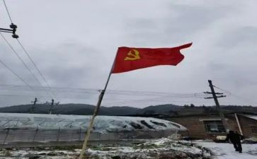 20党员转正申请书5篇