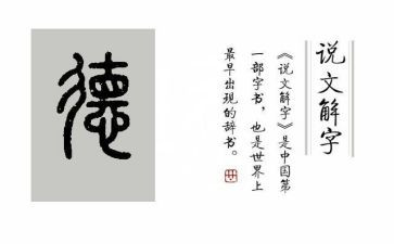 思想教育品德心得体会5篇
