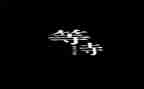 学会等待作文600字5篇