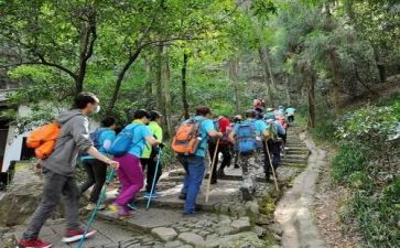 重阳节登高活动总结6篇