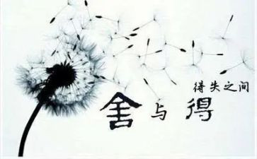 2024高考作文得与失范文7篇