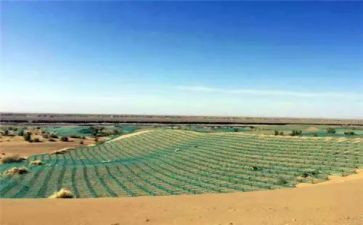 地球环境的心得体会6篇