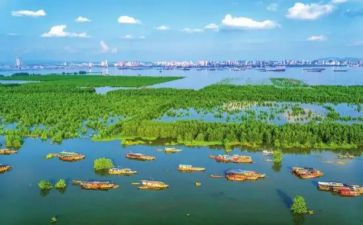 中国地理读后感7篇