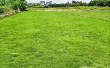 地理课程心得体会5篇