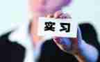 顶岗实习的工作总结通用6篇
