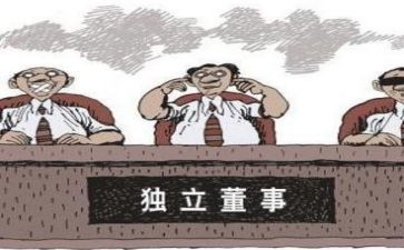 董事心得体会6篇