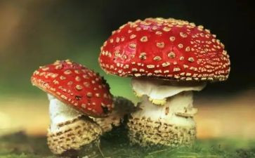 禁毒月心得体会推荐6篇