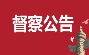 2023督查工作总结7篇
