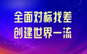化工对标工作总结参考6篇
