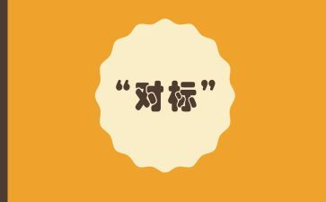 公司对标心得体会参考8篇