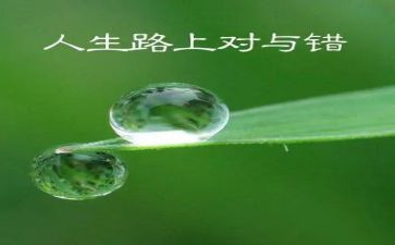 身边的对与错心得体会精选8篇