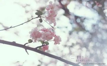 幼儿小班十二月份月计划8篇