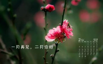 幼儿园大班二月份工作总结5篇