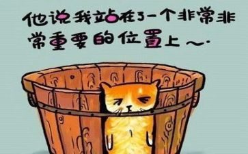 关于教案的教案反思7篇