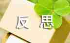 工作计划里的反思8篇