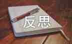 活动的总结与反思6篇