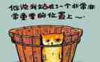 关于教案的教案反思7篇