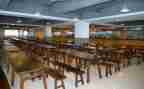 学校饭堂工作总结7篇