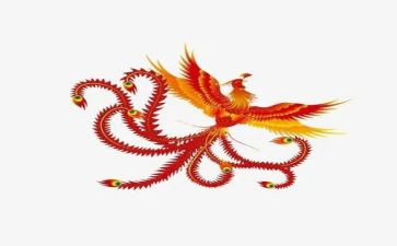 凤凰琴电影观后感5篇