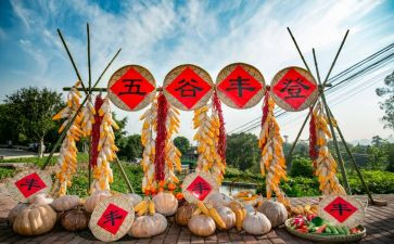 丰收节大班教案6篇