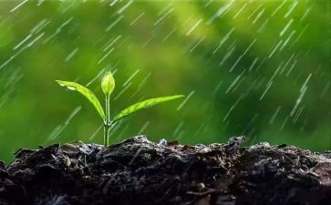 暴风雨来临前的作文5篇