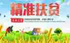 精准一扶贫工作总结8篇