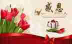 感恩的心演讲稿400字5篇