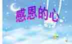 感恩班会主题心得体会5篇