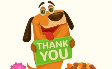 感谢您老师作文500字最新5篇