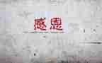 我最感谢的作文6篇