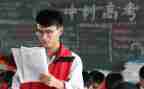 高三历史教师个人工作总结6篇