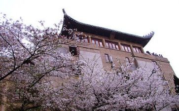 高校毕业生鉴定表自我鉴定通用8篇