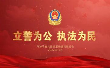 2024年度公安个人总结7篇