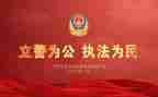 2024年度公安个人总结7篇