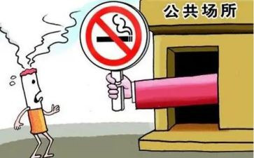 公共卫生科个人年度工作总结6篇
