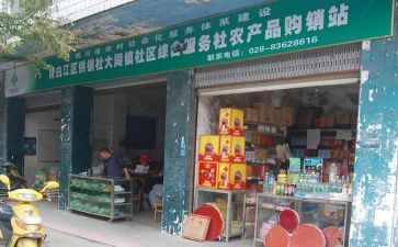 供销社2024年半年总结6篇