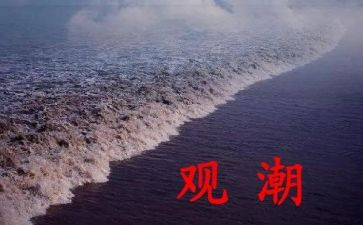 观潮读后感40字优质7篇