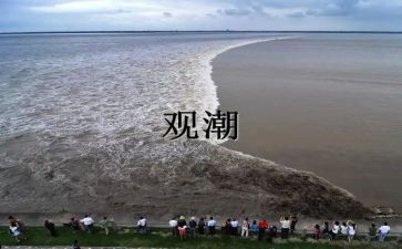 四年级观潮的读后感最新5篇