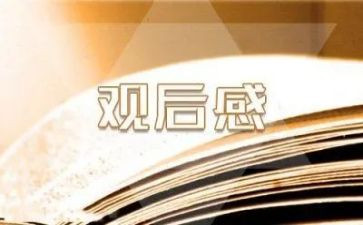 精彩的观后感6篇
